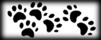 Paw Prints